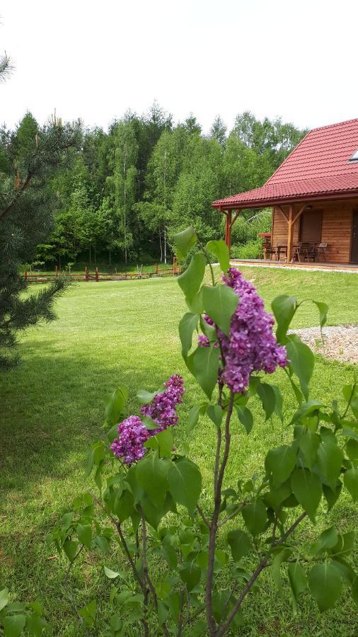Dom Nad Dolina Sanu Villa Ruszelczyce Buitenkant foto