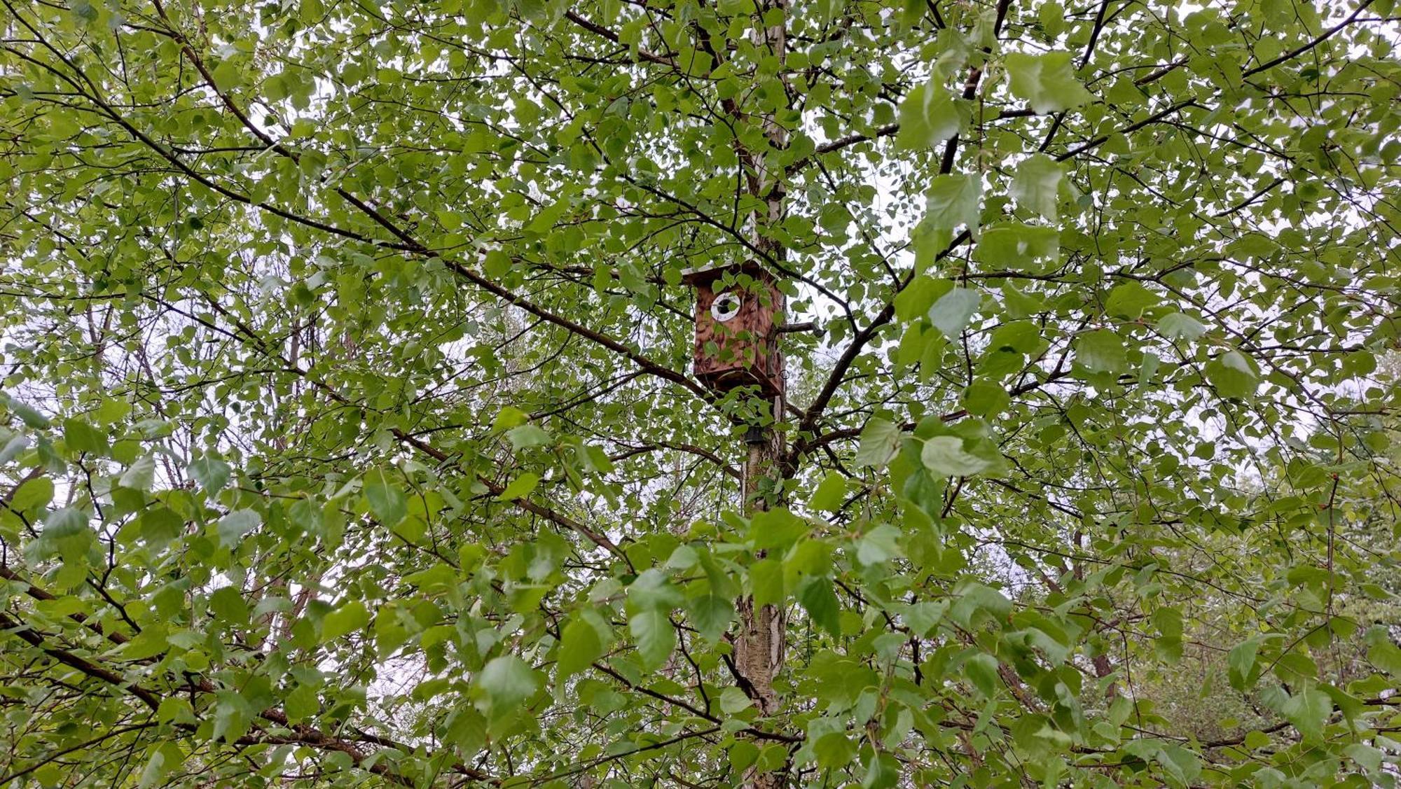 Dom Nad Dolina Sanu Villa Ruszelczyce Buitenkant foto