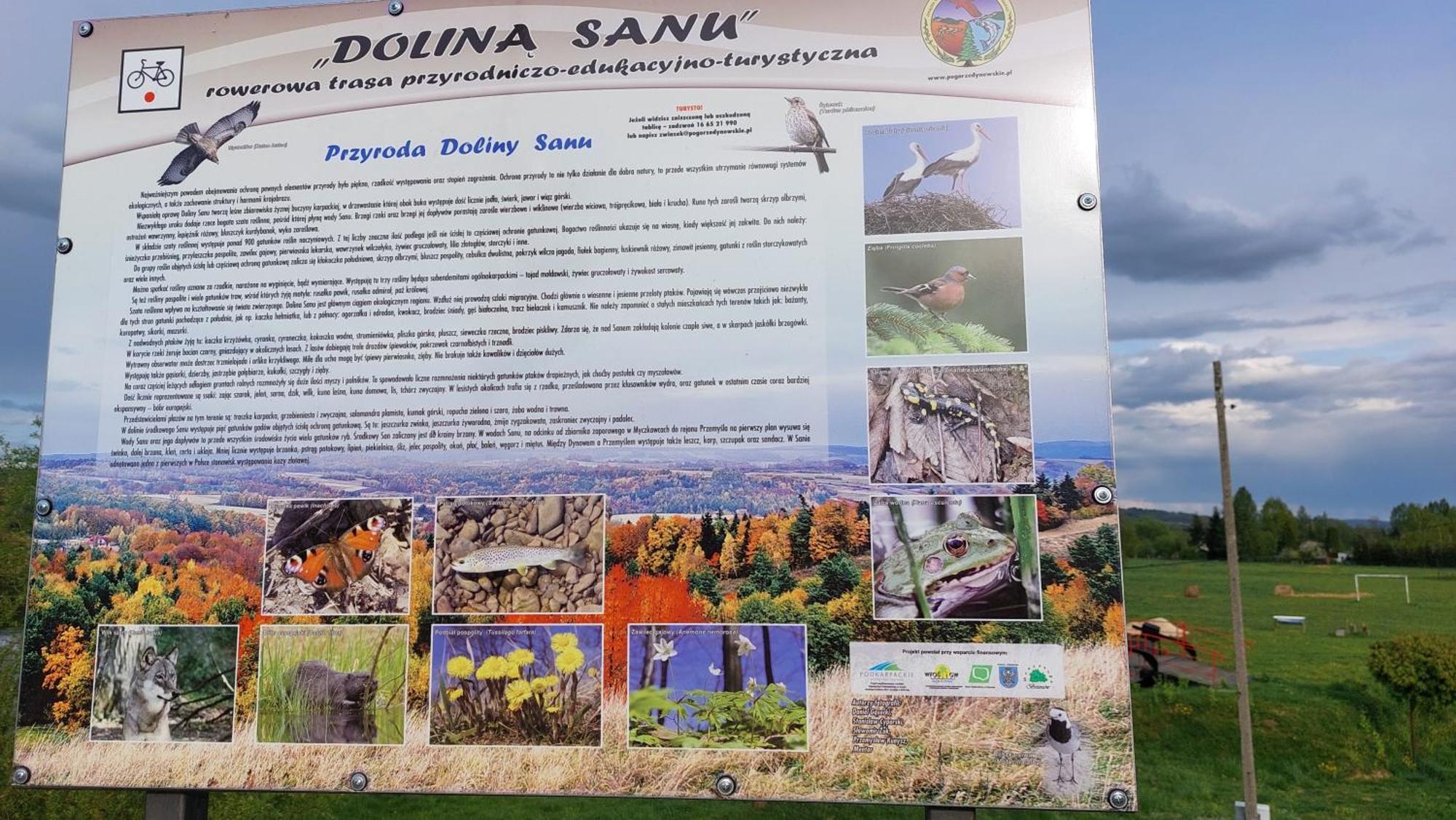 Dom Nad Dolina Sanu Villa Ruszelczyce Buitenkant foto