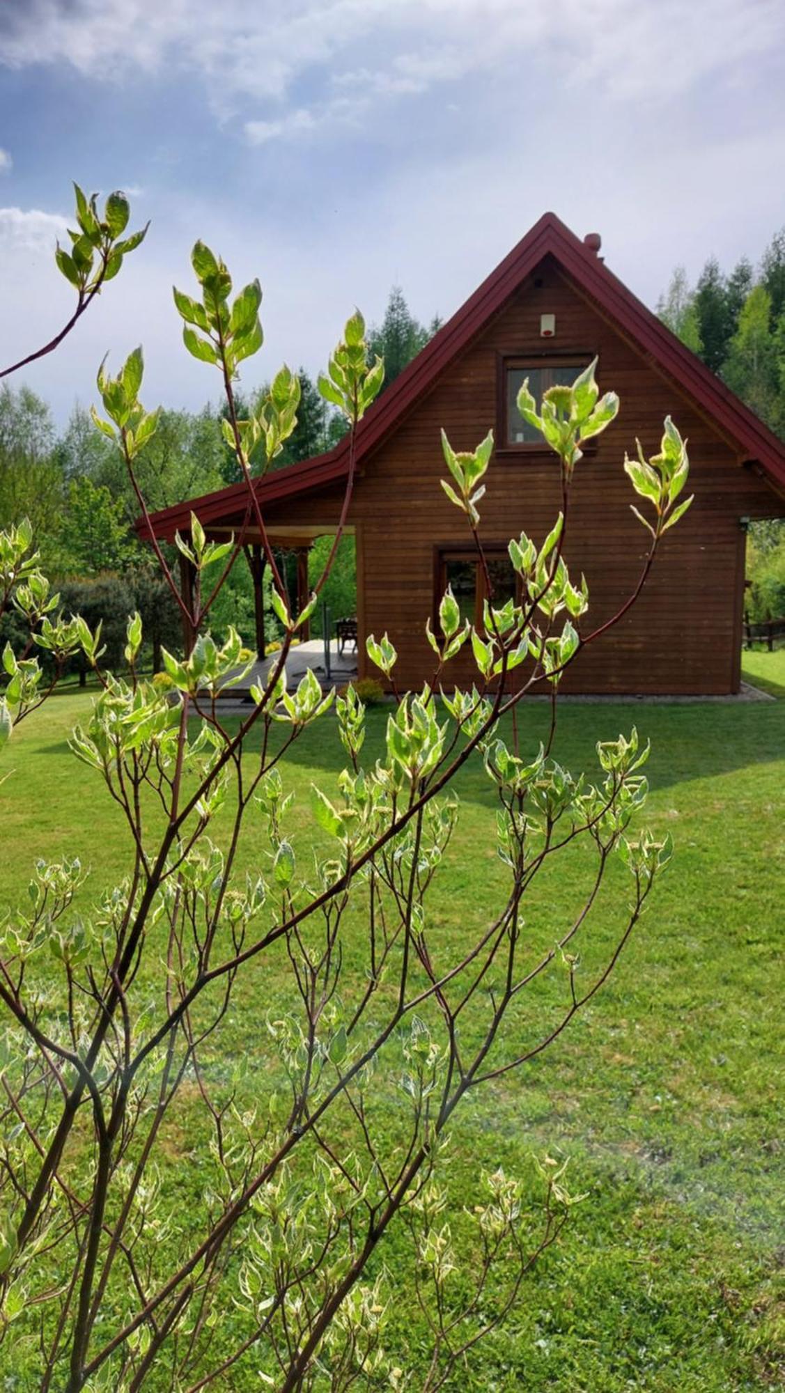 Dom Nad Dolina Sanu Villa Ruszelczyce Buitenkant foto