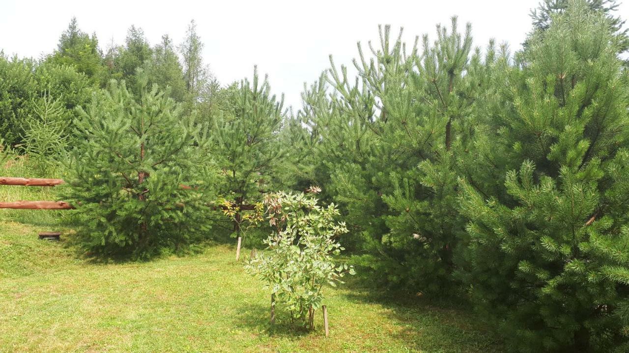 Dom Nad Dolina Sanu Villa Ruszelczyce Buitenkant foto
