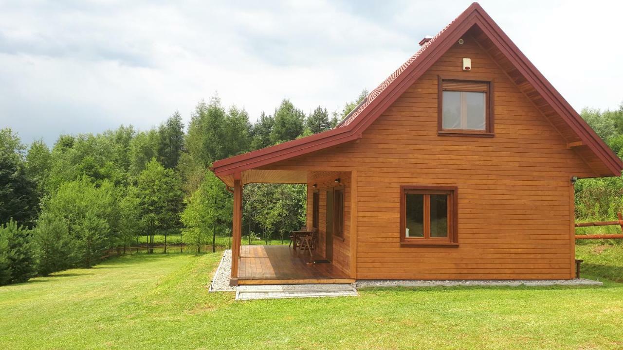 Dom Nad Dolina Sanu Villa Ruszelczyce Buitenkant foto